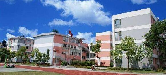 协和国际学校（张江校区）